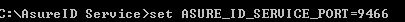 Command prompt window running a command to set the environment variable for the AsureID Service